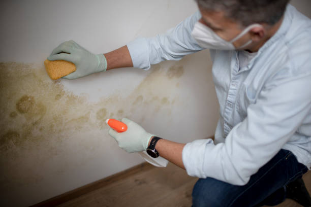 Forensic Mold Investigation